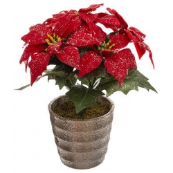 POT POINSETTIA PAILLETTE