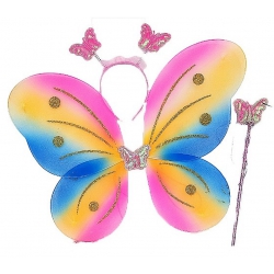 PANOPLIE AILE D ANGE AVEC...