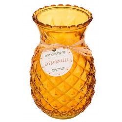 BOUGIE PARFUMEE FRUIT...