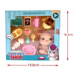 COFFRET CHATON ACCESSOIRES...