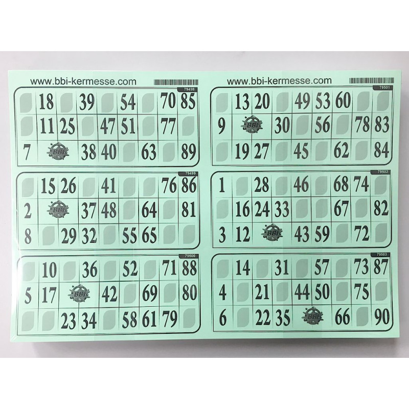 Planche de 6 grilles de loto 29x20cm carton epais Plaque 90 numeros Coloris  vert menthe Set materiel jeu bingo et carte - Cdiscount Jeux - Jouets