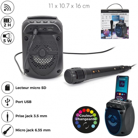 ENCEINTE SANS FIL 5W KARAOKE MICRO INTEGRE