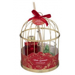 COFFRET CAGE LOLA NOEL