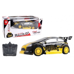 R/C 1/24 RALLYE