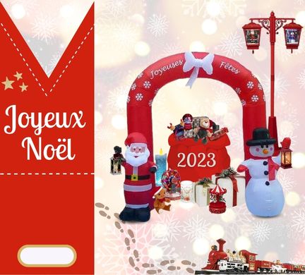 Grossiste-en-decoration-de-noel-marche-de-noel-arbre-de-noel-sujet-lumineux